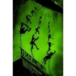 Zero Dark Thirty Mondo limited edition variant print - illustraction Gallery