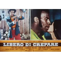 The Legend Of Nigger Charley Italian fotobusta movie poster set - illustraction Gallery