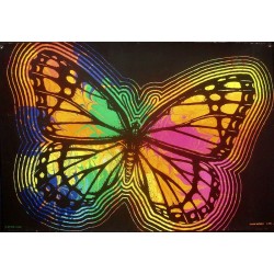 Elusive Butterfly (Blacklight 1971)