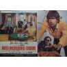 La decade prodigieuse (Ten Days Wonder) Italian fotobusta movie poster set - illustraction Gallery