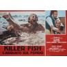 Killer Fish Italian fotobusta movie poster set - illustraction Gallery