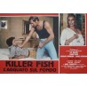 Killer Fish Italian fotobusta movie poster set - illustraction Gallery