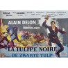 Tulipe noire (Belgian)