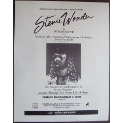 Stevie Wonder: New York 1979