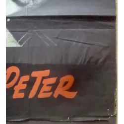 Come Back Peter (Some Like It Sexy) one sheet movie poster - illustraction Gallery