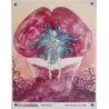 Belladonna Of Sadness set of 18 Swiss lobby cards - illustraction Gallery