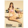 Ditzler Automotive Finishes (1975 style B - LB)
