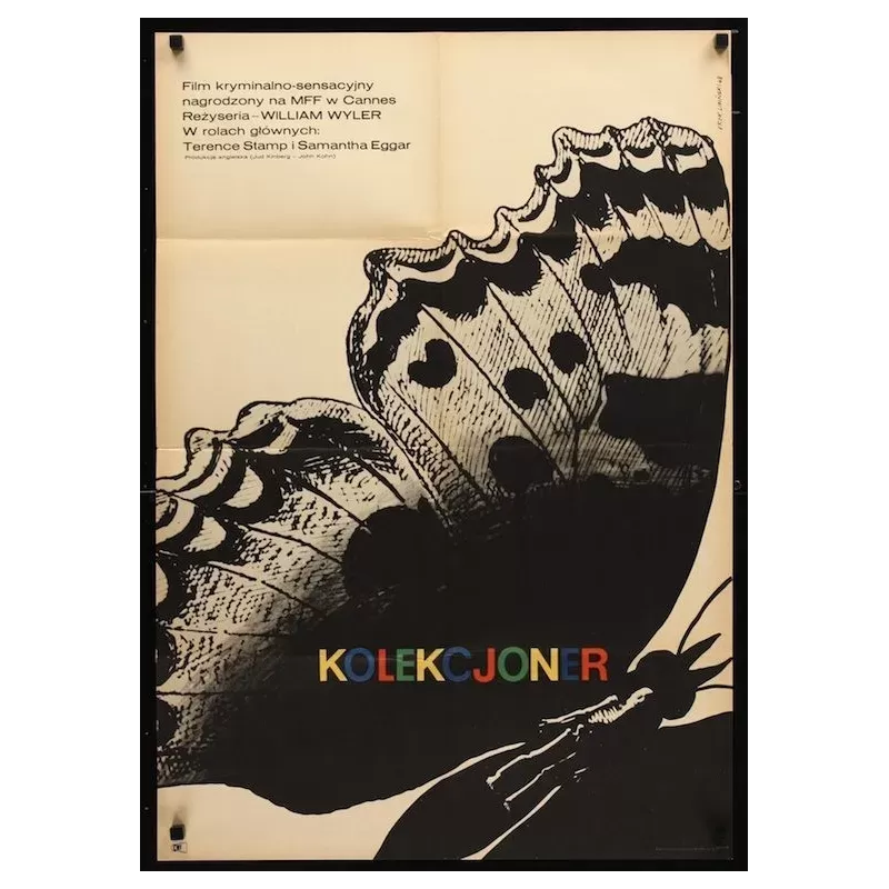 The Collector Polish movie poster - Illustraction Gallery