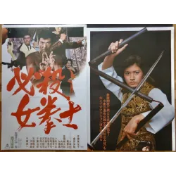 Sonny Chiba's Dragon Princess Japanese movie poster - illustraction Gallery