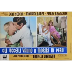 Les oiseaux vont mourir au Perou (Birds In Peru) Italian fotobusta movie poster set - illustraction Gallery