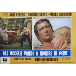 Les oiseaux vont mourir au Perou (Birds In Peru) Italian fotobusta movie poster set - illustraction Gallery
