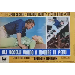 Les oiseaux vont mourir au Perou (Birds In Peru) Italian fotobusta movie poster set - illustraction Gallery