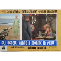 Les oiseaux vont mourir au Perou (Birds In Peru) Italian fotobusta movie poster set - illustraction Gallery