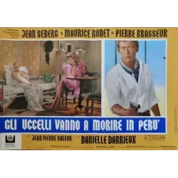 Les oiseaux vont mourir au Perou (Birds In Peru) Italian fotobusta movie poster set - illustraction Gallery