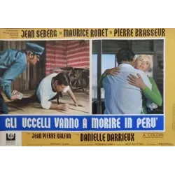 Les oiseaux vont mourir au Perou (Birds In Peru) Italian fotobusta movie poster set - illustraction Gallery