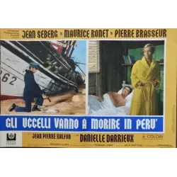 Les oiseaux vont mourir au Perou (Birds In Peru) Italian fotobusta movie poster set - illustraction Gallery