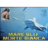 Blue Water White Death Italian fotobusta movie poster set - illustraction Gallery