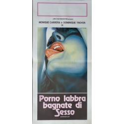 Porno labbra bagnate di sesso (Locandina)
