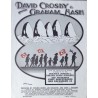 David Crosby and Graham Nash 1974 San Francisco concert poster - illustraction Gallery