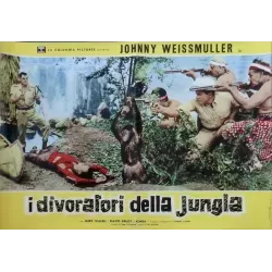 Cannibal Attack Italian fotobusta movie poster set - illustraction Gallery