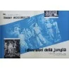 Cannibal Attack Italian fotobusta movie poster set - illustraction Gallery