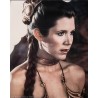 Star Wars The Return Of The Jedi Jumbo Lobby Card set - illustraction Gallery