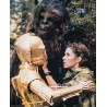 Star Wars The Return Of The Jedi Jumbo Lobby Card set - illustraction Gallery