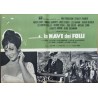 Ship Of Fools Italian fotobusta movie poster set - illustraction Gallery