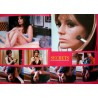 Secrets (Quadrangle) Japanese movie program - Illustraction Gallery