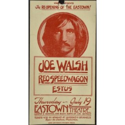 Joe Walsh: Detroit 1973 (Handbill)