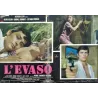 La veuve Couderc Italian fotobusta movie poster set - illustraction Gallery