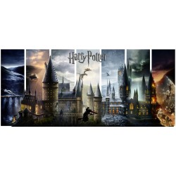 Harry Potter: Journey Through Hogwarts (R2024 set of 7)