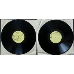 The Police I Was Born In the 1950's live LP - illustraction Gallery