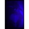 Big O original 1968 headshop blacklight poster - illustraction Gallery