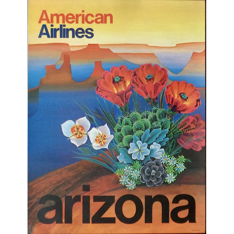 American Airlines Arizona (1971 small)