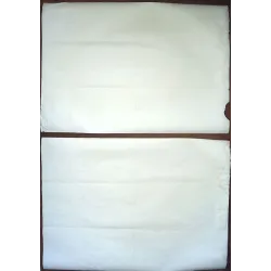 Winning Japanese movie poster - illustraction Gallery