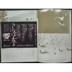 Ski On The Wild Side Japanese movie Program - illustraction Gallery