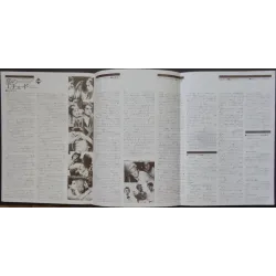 Les deux anglaises (Two English Girls) Japanese Press movie poster - illustraction Gallery