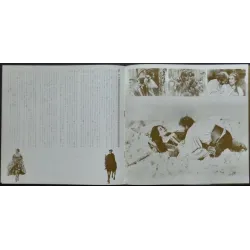 Taming Of The Shrew Japanese Press movie poster - illustraction Gallery