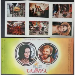 Taming Of The Shrew (Japanese Press style B)