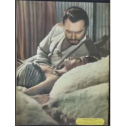 Solomon And Sheba Japanese movie Program - illustraction Gallery