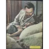Solomon And Sheba Japanese movie Program - illustraction Gallery