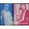 Our Man Flint Japanese movie Program - illustraction Gallery