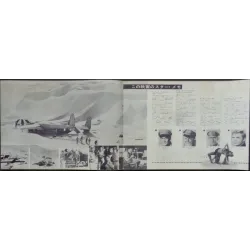 The Flight Of The Phoenix Japanese movie poster - illustraction Gallery