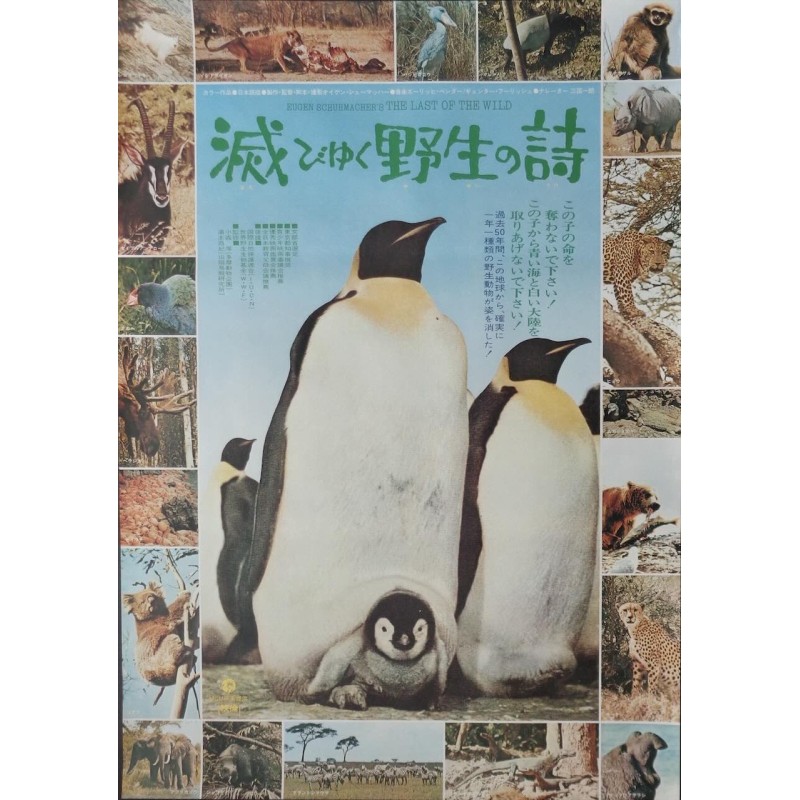 Last Of The Wild (Japanese)