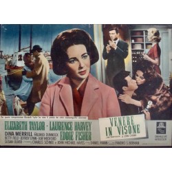 Butterfield 8 (Fotobusta 1