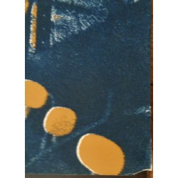 San Francisco Blues Festival 1982 concert poster - illustraction Gallery