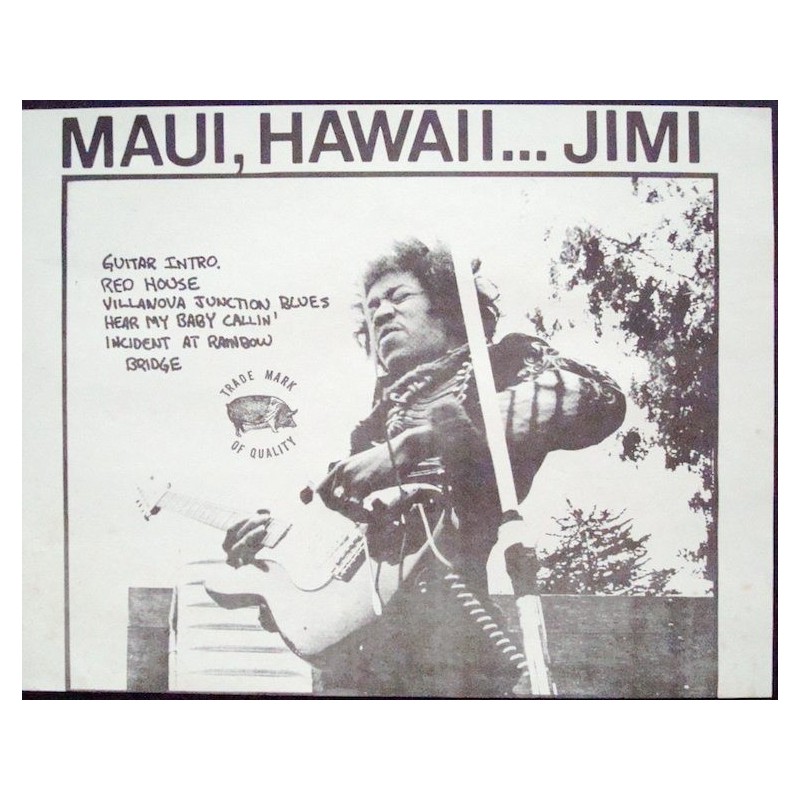 Jimi Hendrix Maui Hawaii Tmoq Live Lp Illustraction Gallery 