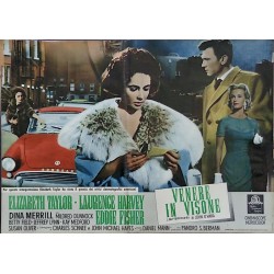 Butterfield 8 Italian fotobusta movie poster set - illustraction Gallery