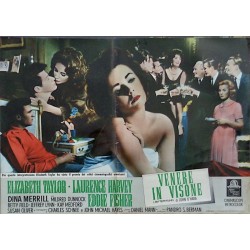 Butterfield 8 Italian fotobusta movie poster set - illustraction Gallery